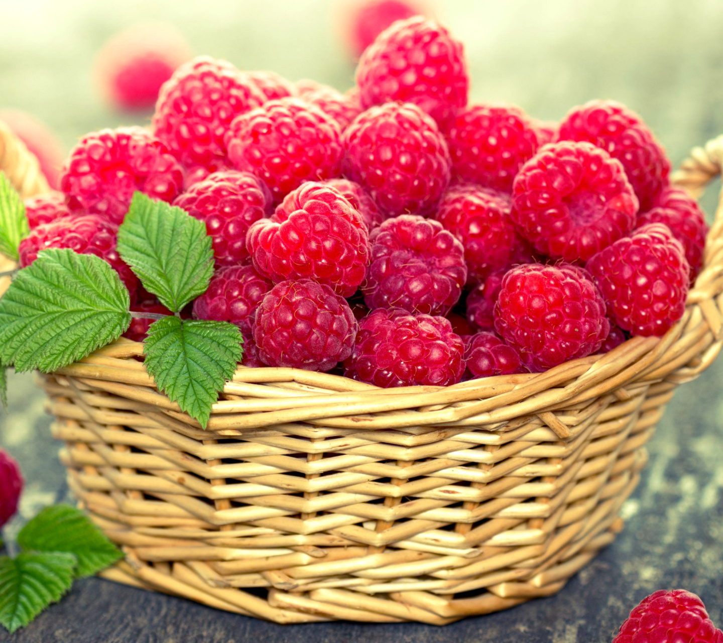 Basket with raspberries wallpaper 1440x1280