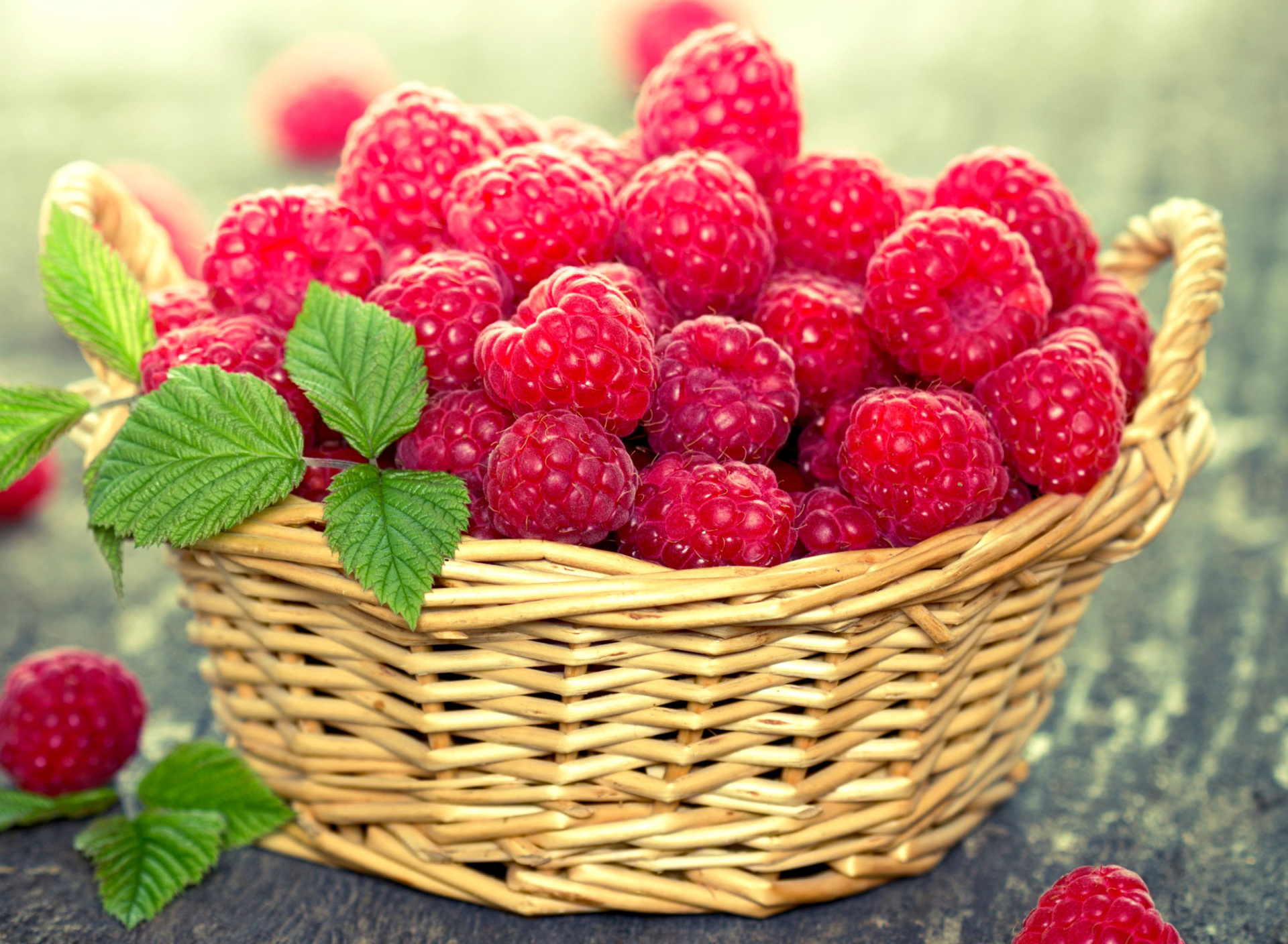 Обои Basket with raspberries 1920x1408