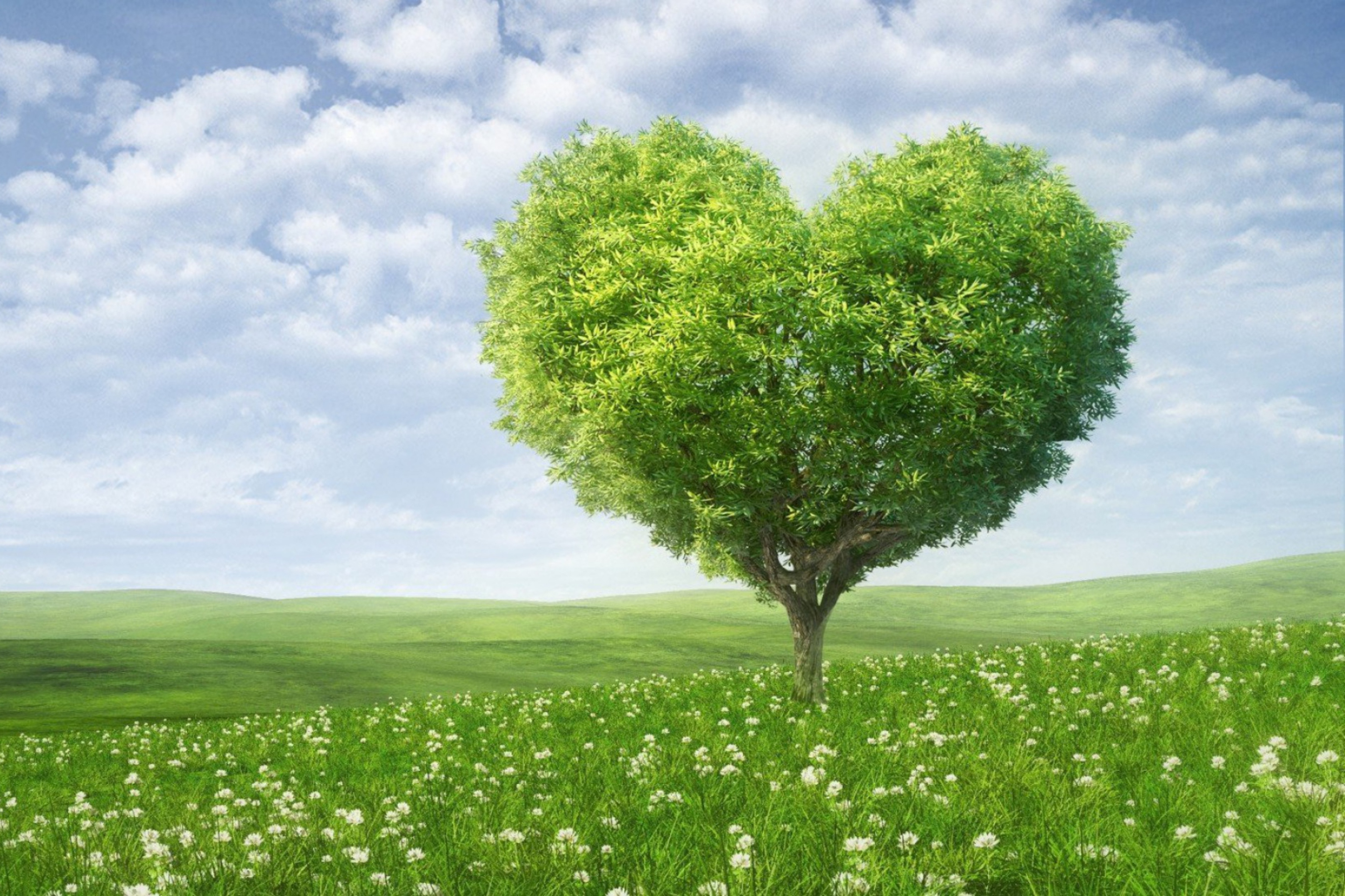 Nature Heart wallpaper 2880x1920