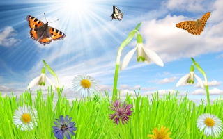 Happy Spring - Obrázkek zdarma pro Fullscreen Desktop 1280x960