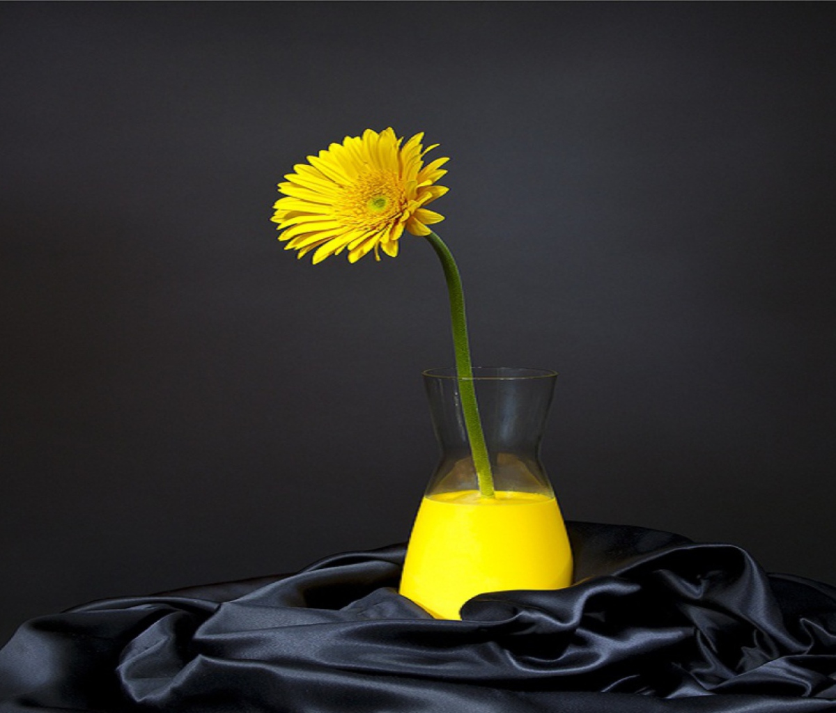 Sfondi Yellow Flower 1200x1024
