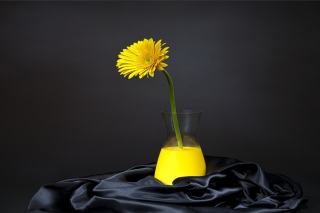 Yellow Flower Wallpaper for Android, iPhone and iPad