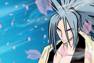 Shaman King Picture for Android, iPhone and iPad