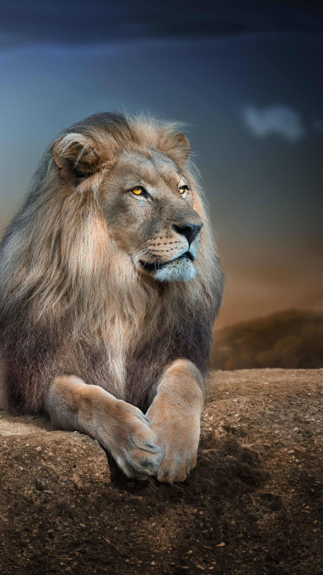 Fondo de pantalla King Lion 1080x1920