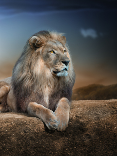 Das King Lion Wallpaper 240x320