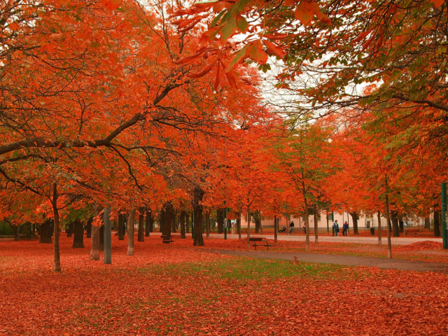 Fondo de pantalla Autumn Scenery 640x480
