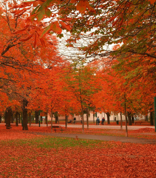 Autumn Scenery - Obrázkek zdarma pro Nokia Lumia 1520