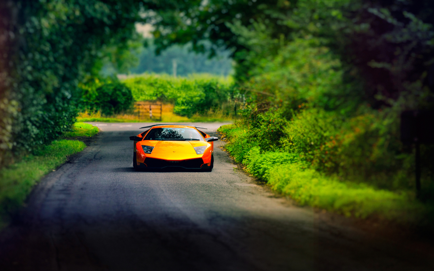 Screenshot №1 pro téma Lamborghini Murcielago 1440x900