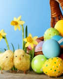 Das Yellow Easter Chickens Wallpaper 128x160