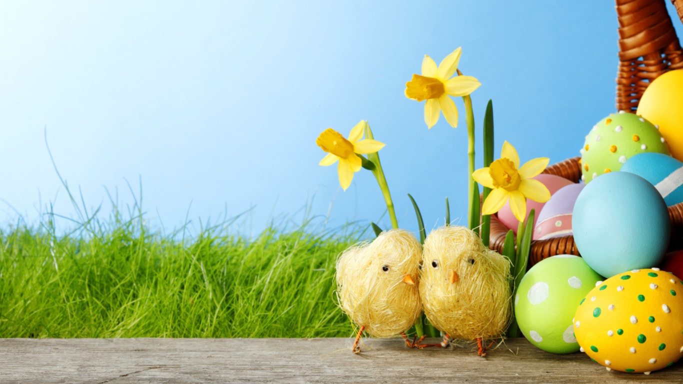 Yellow Easter Chickens wallpaper 1366x768