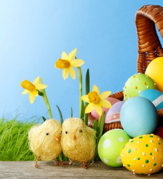 Обои Yellow Easter Chickens для iPad 3