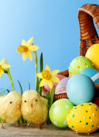 Yellow Easter Chickens sfondi gratuiti per 240x400