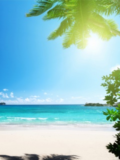Vacation on Virgin Island screenshot #1 240x320