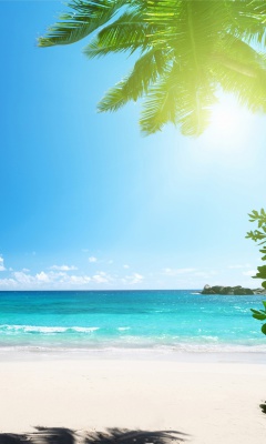 Screenshot №1 pro téma Vacation on Virgin Island 240x400