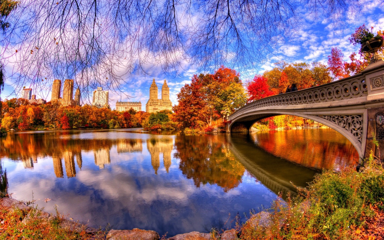 Screenshot №1 pro téma Architecture Reflection in Central Park 1280x800