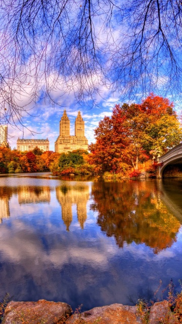 Architecture Reflection in Central Park wallpaper 360x640