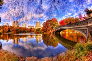 Free Architecture Reflection in Central Park Picture for Android, iPhone and iPad