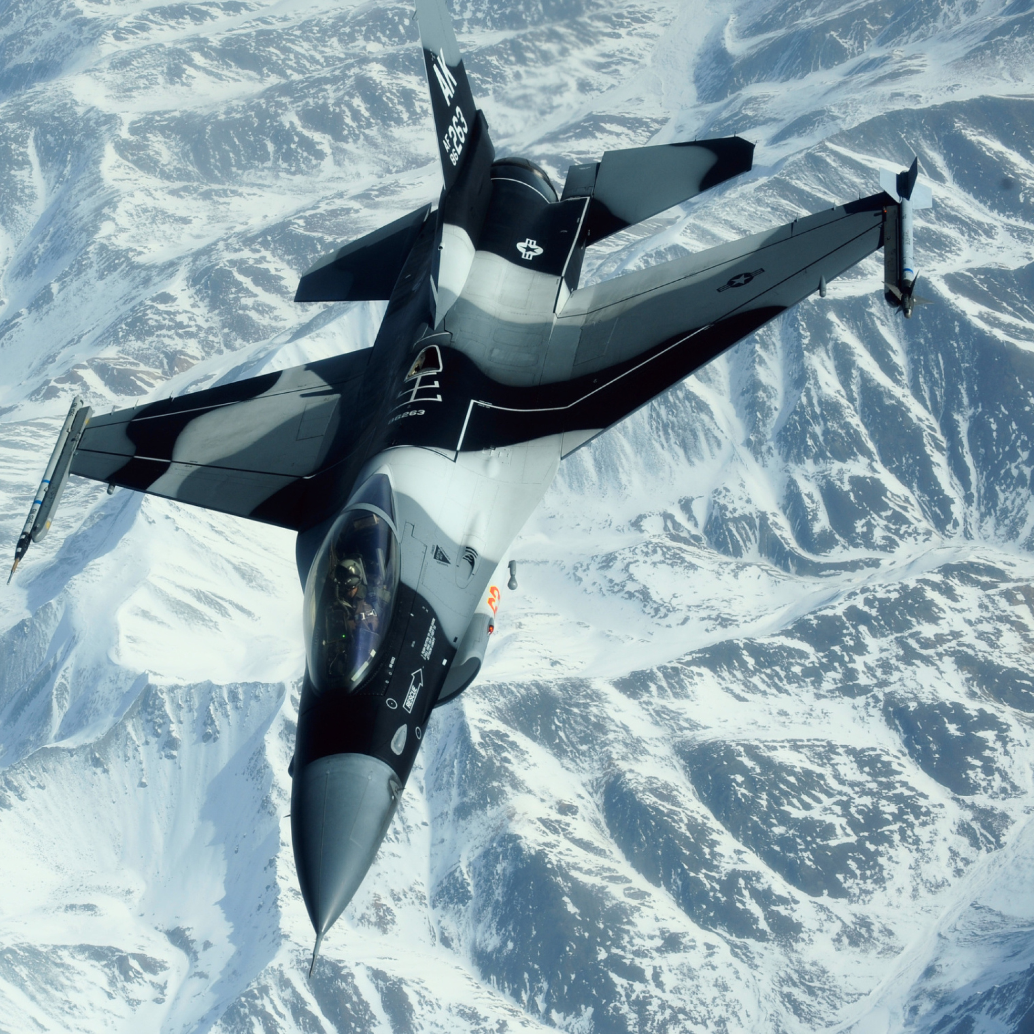 F-16 Fighting Falcon screenshot #1 2048x2048