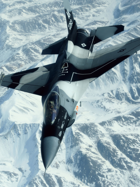 F-16 Fighting Falcon wallpaper 480x640