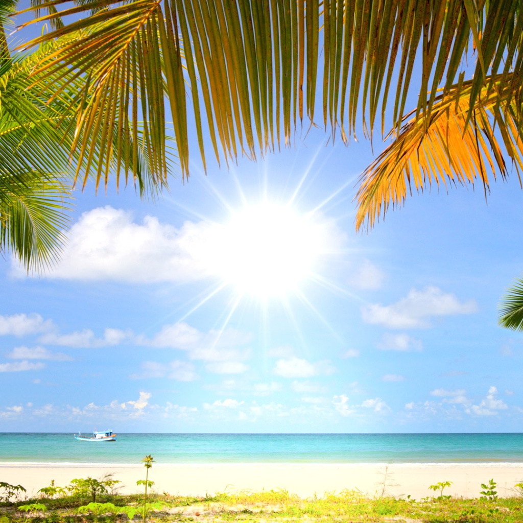 Summer Beach with Palms HD wallpaper 1024x1024