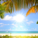 Das Summer Beach with Palms HD Wallpaper 128x128