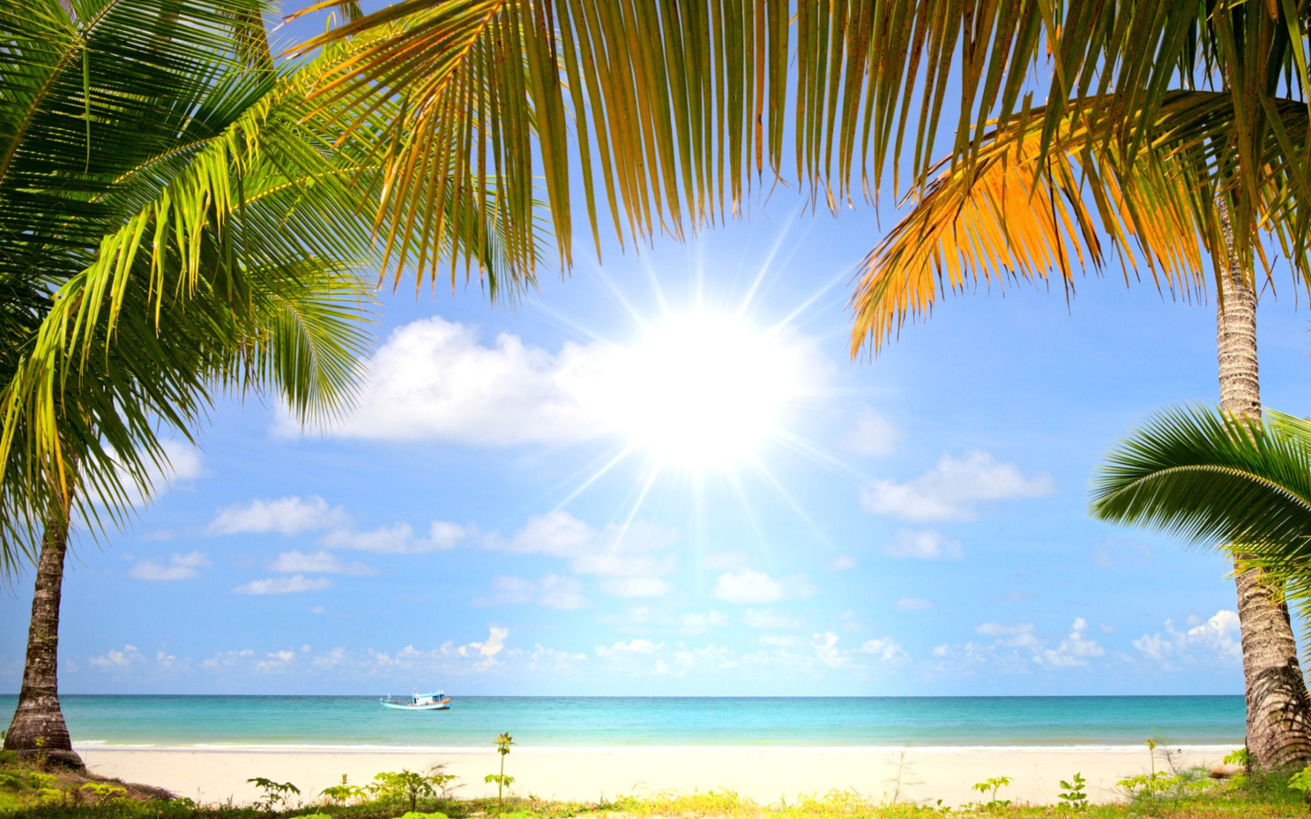 Das Summer Beach with Palms HD Wallpaper 1440x900