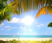 Summer Beach with Palms HD screenshot #1 176x144