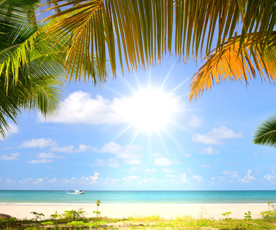 Fondo de pantalla Summer Beach with Palms HD 960x800