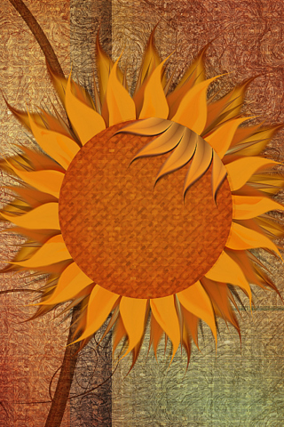 Sunflower wallpaper 320x480