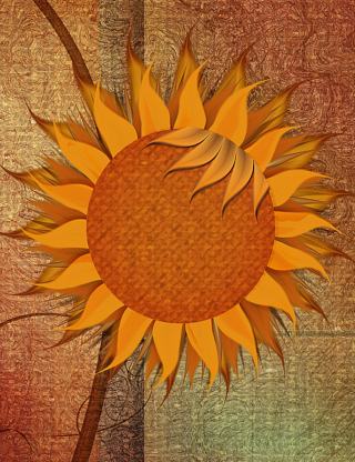 Kostenloses Sunflower Wallpaper für iPhone 5C