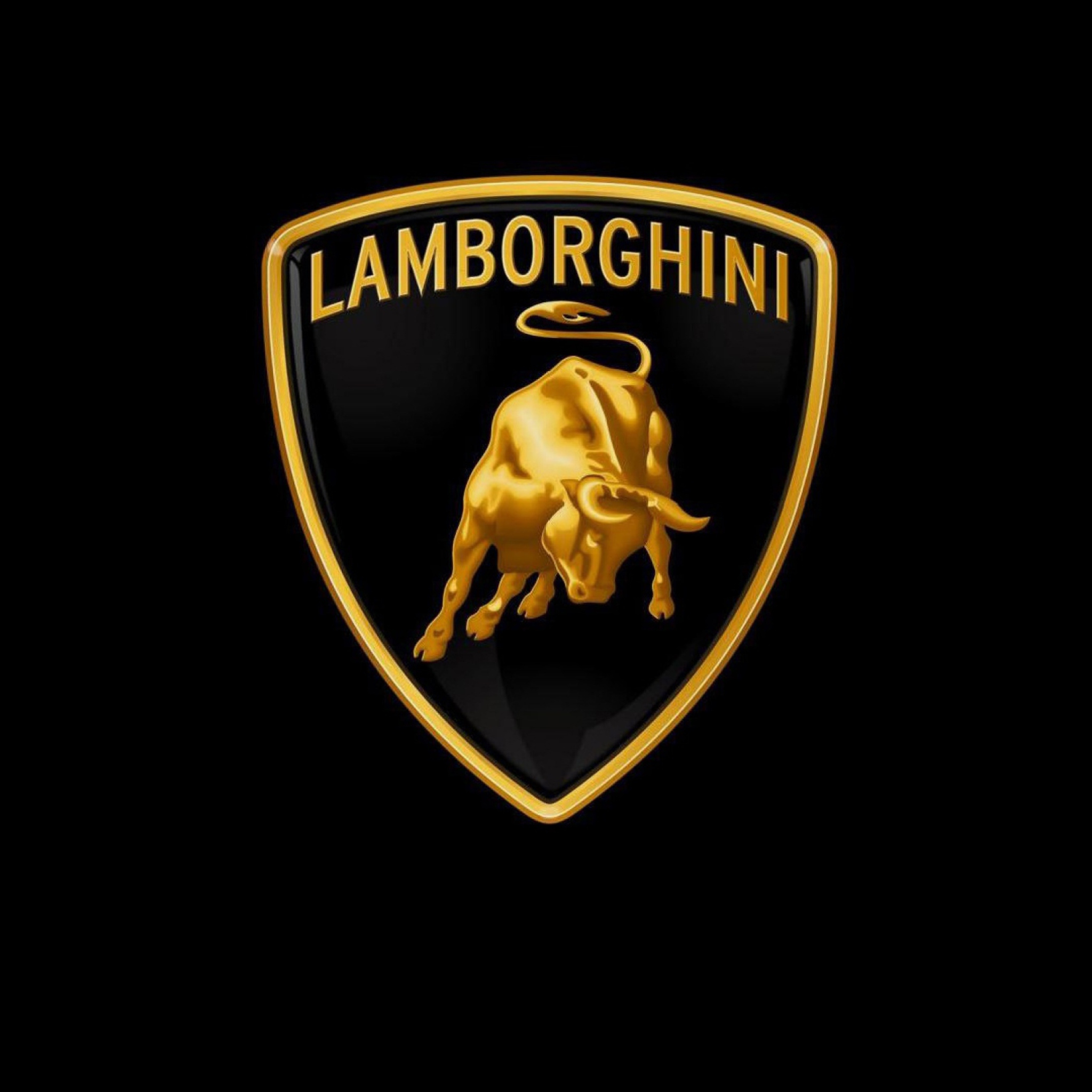 Lamborghini Logo wallpaper 2048x2048