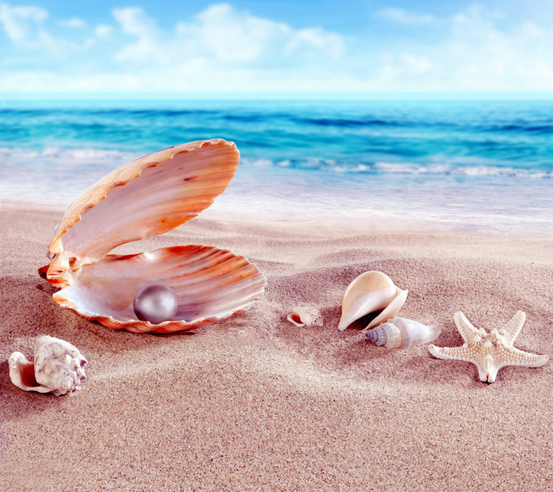 Shells and pearl wallpaper 1080x960