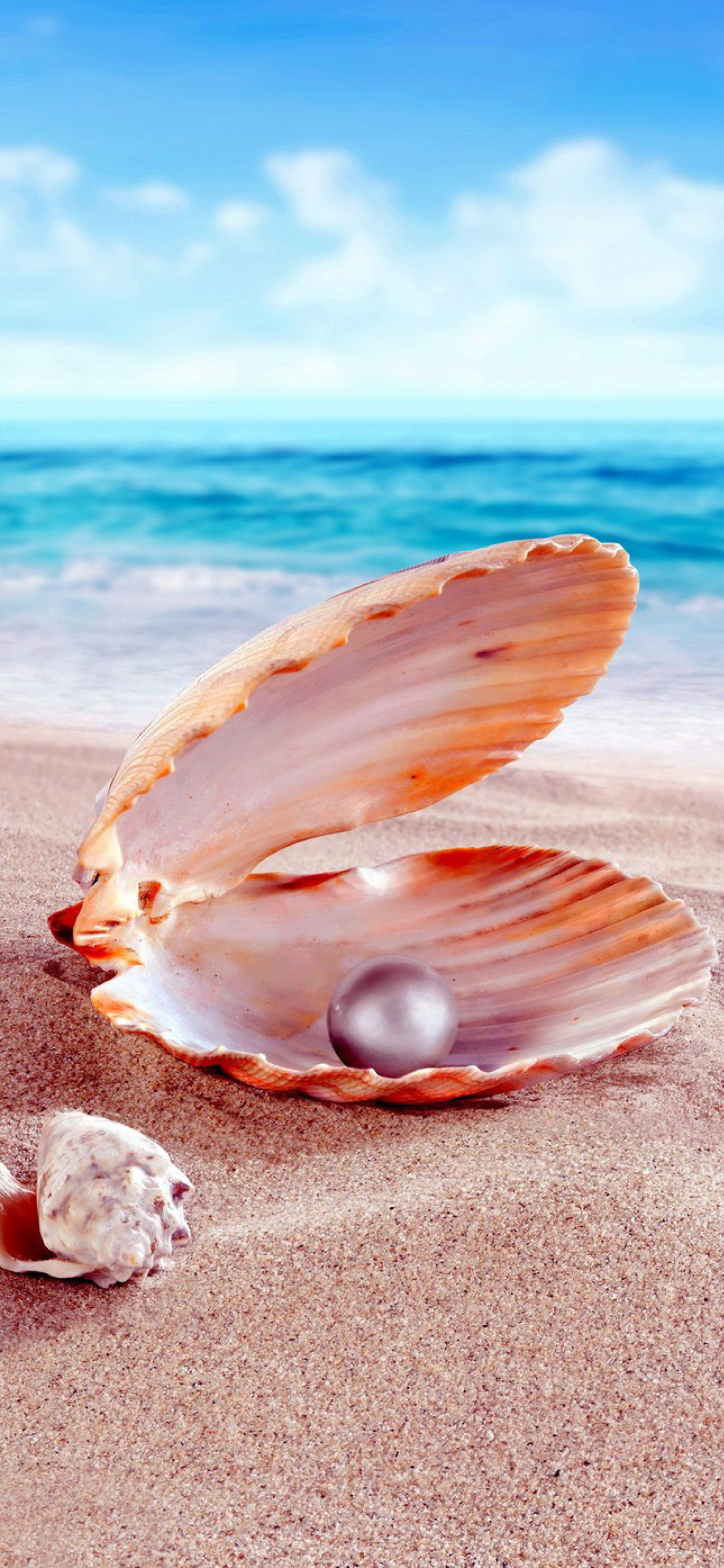 Shells and pearl wallpaper 1170x2532