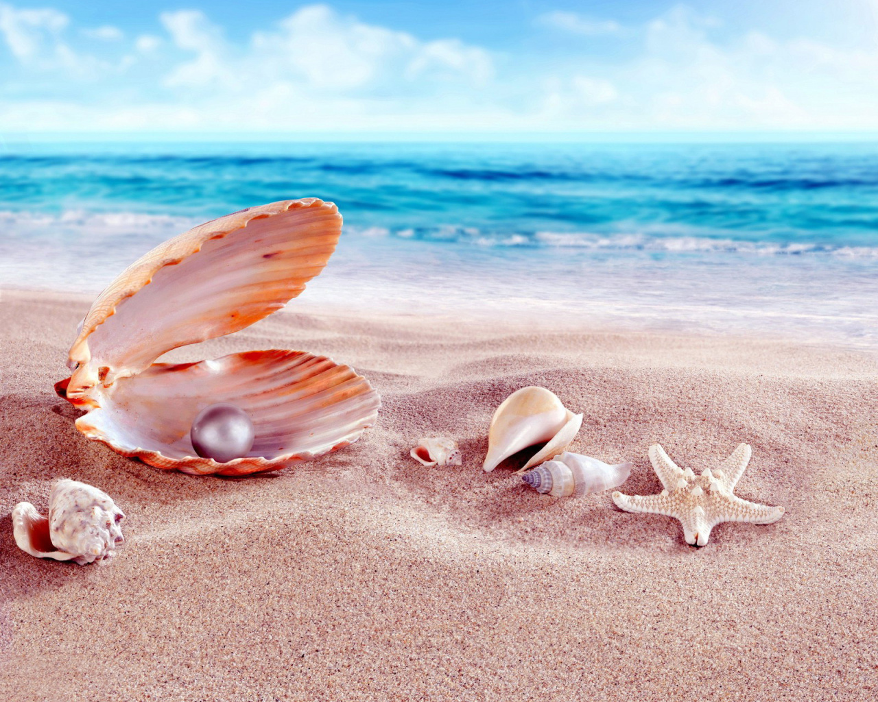 Shells and pearl screenshot #1 1280x1024