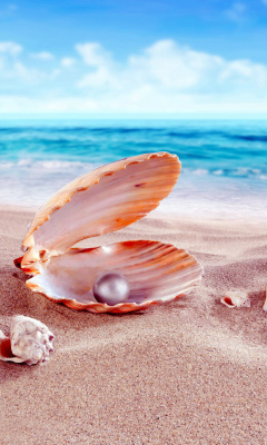 Shells and pearl screenshot #1 240x400