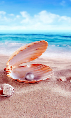 Shells and pearl wallpaper 240x400