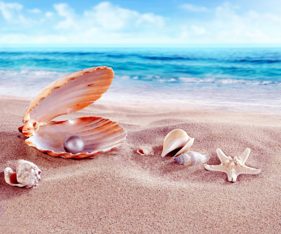 Das Shells and pearl Wallpaper 960x800