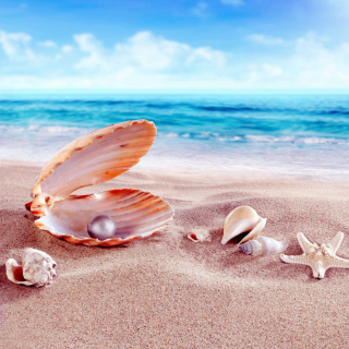 Shells and pearl - Obrázkek zdarma pro iPad mini 2