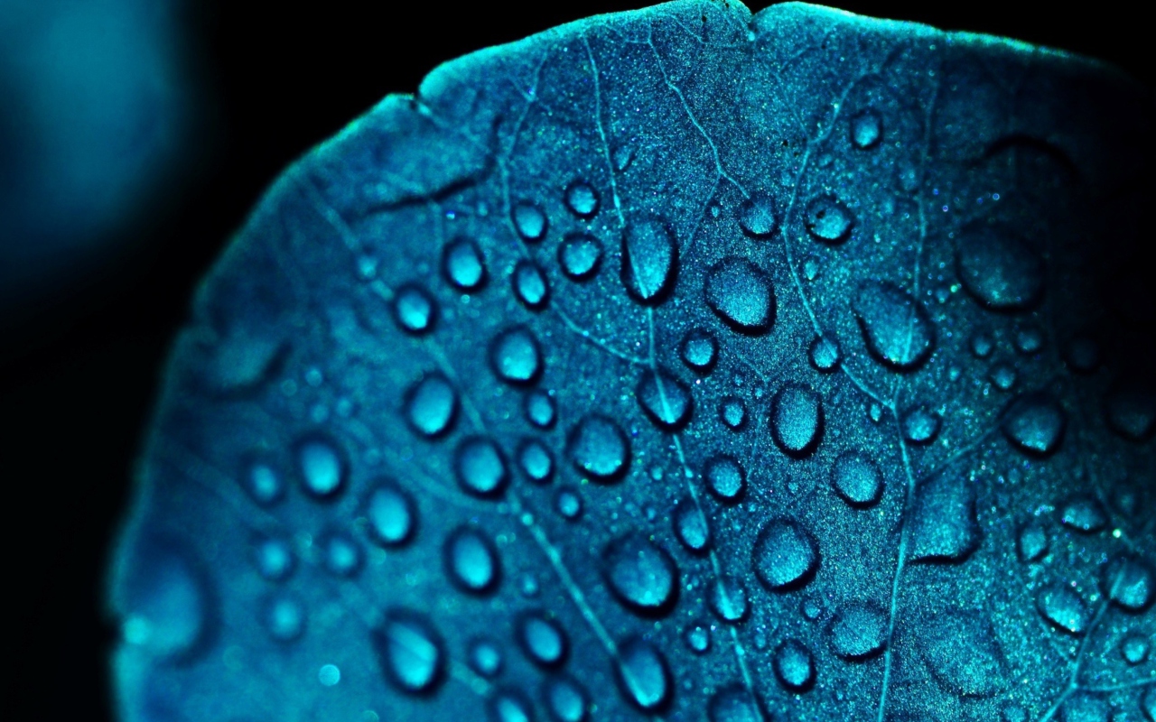 Screenshot №1 pro téma Macro Water Drops On Blue Leaf 1280x800