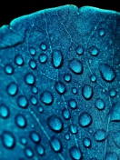 Fondo de pantalla Macro Water Drops On Blue Leaf 132x176