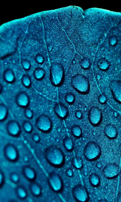 Screenshot №1 pro téma Macro Water Drops On Blue Leaf 480x800