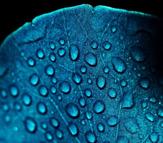 Macro Water Drops On Blue Leaf - Obrázkek zdarma pro iPad Air