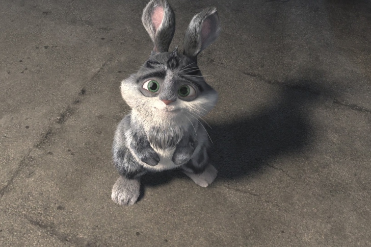 Fondo de pantalla Sad Rabbit