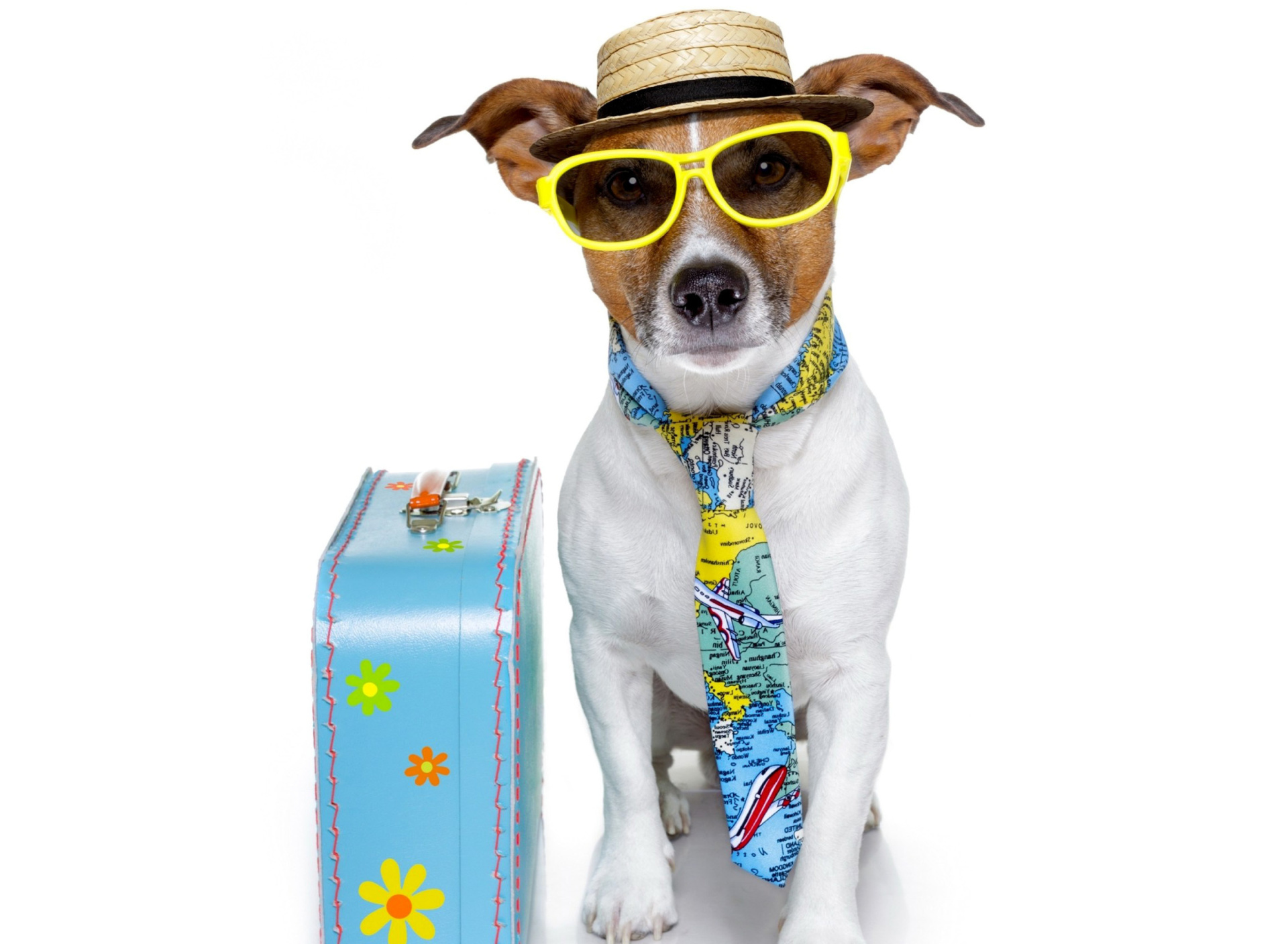Funny dog going on holiday wallpaper 1920x1408