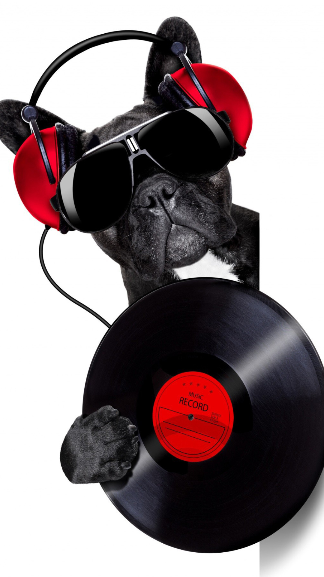 Обои DJ Dog 1080x1920