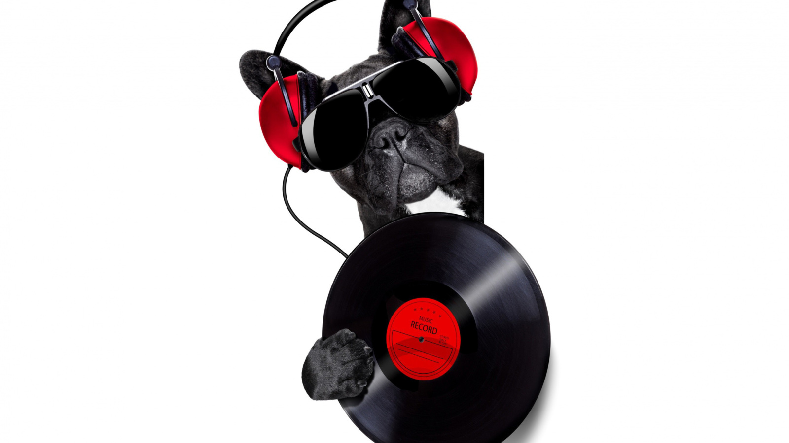 Das DJ Dog Wallpaper 1600x900