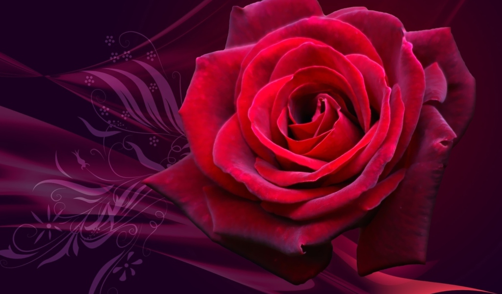 Screenshot №1 pro téma Red Rose 1024x600