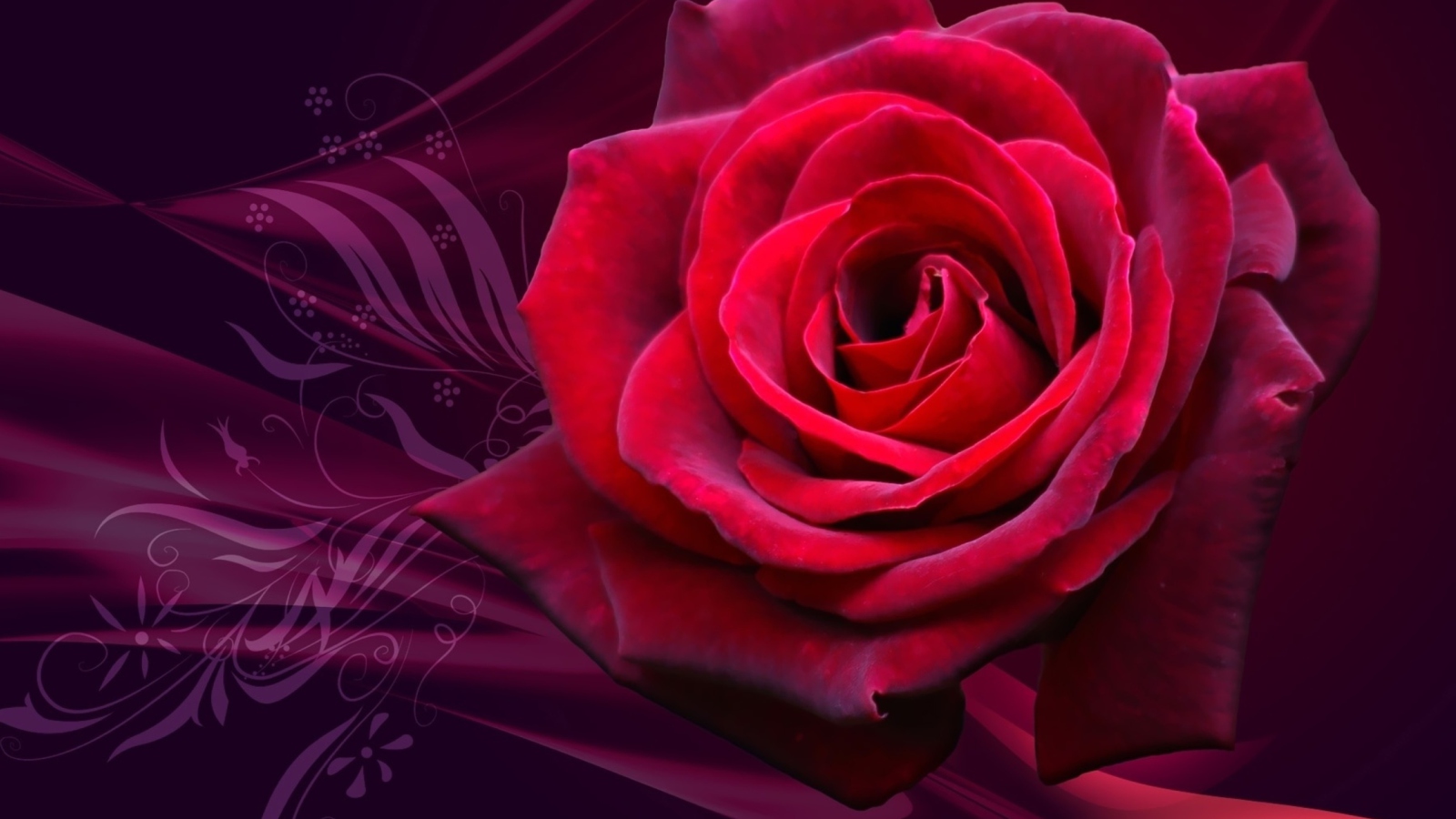 Screenshot №1 pro téma Red Rose 1600x900