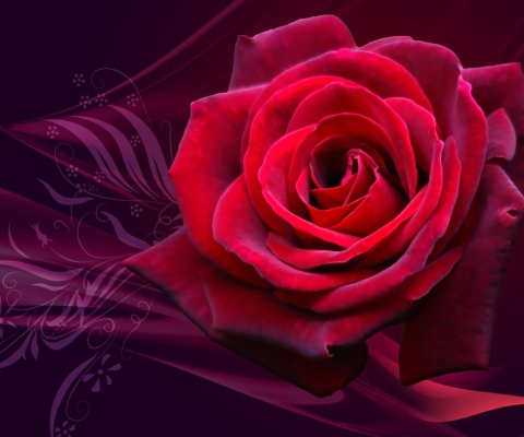Screenshot №1 pro téma Red Rose 480x400