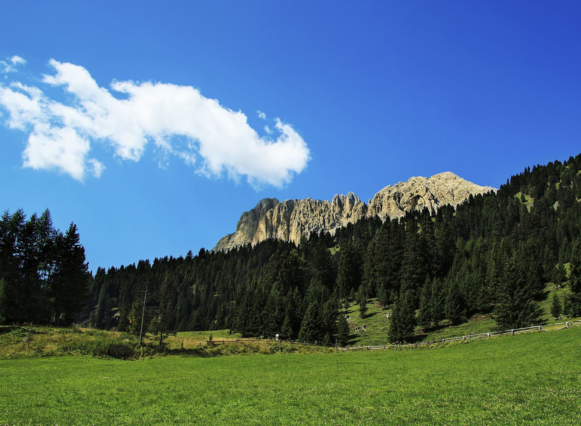 Screenshot №1 pro téma Summer Day in Forest Mountains 1920x1408